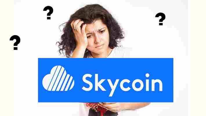 Skycoin: Anatomy of a cryptocurrency scam